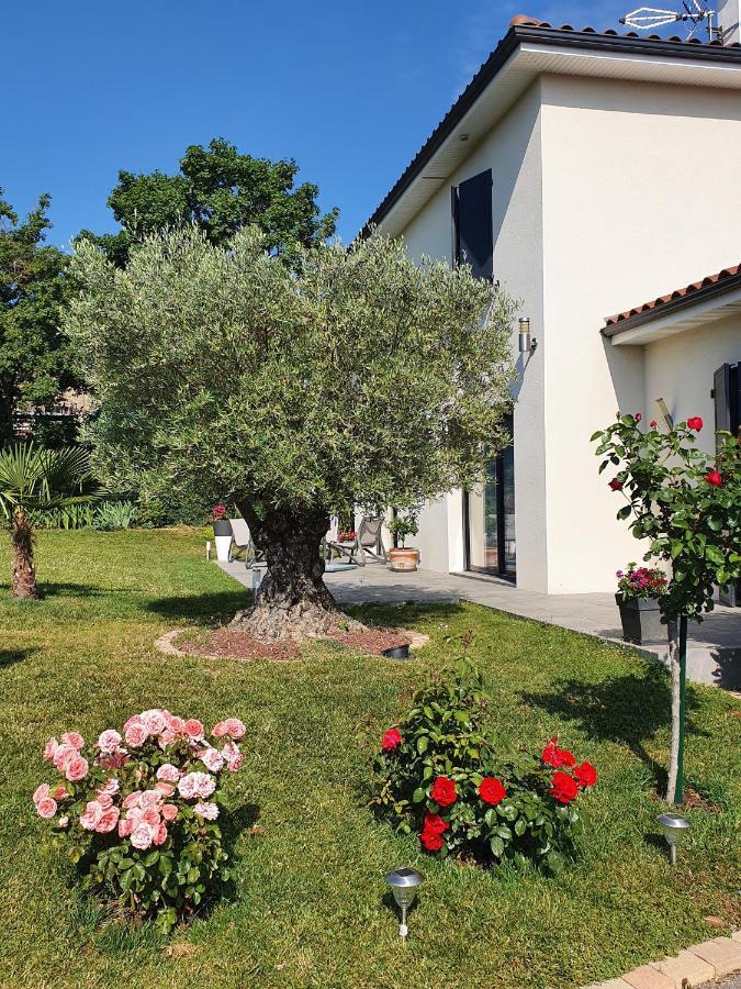 L'Olivier Apartment Mornant Bagian luar foto
