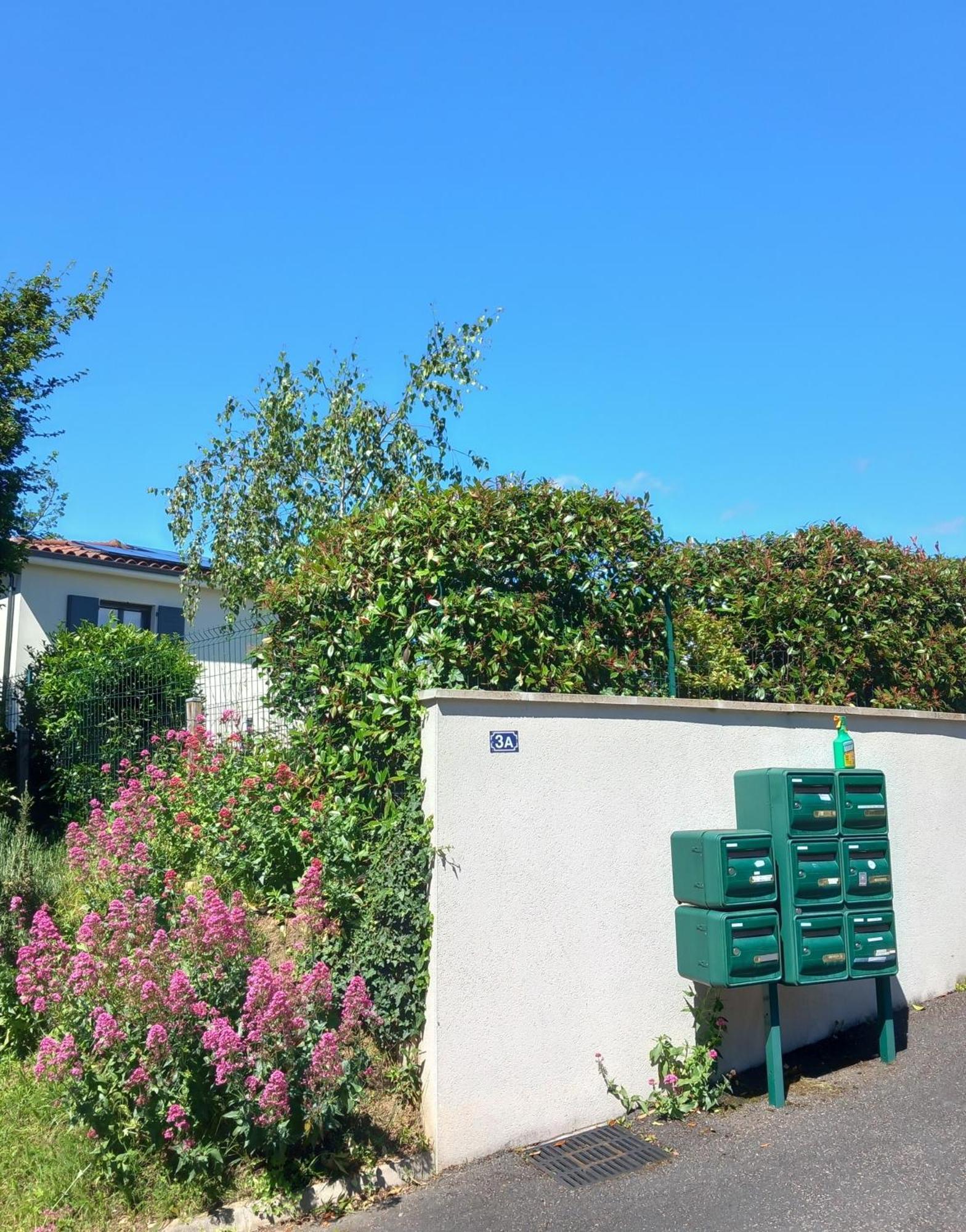 L'Olivier Apartment Mornant Bagian luar foto