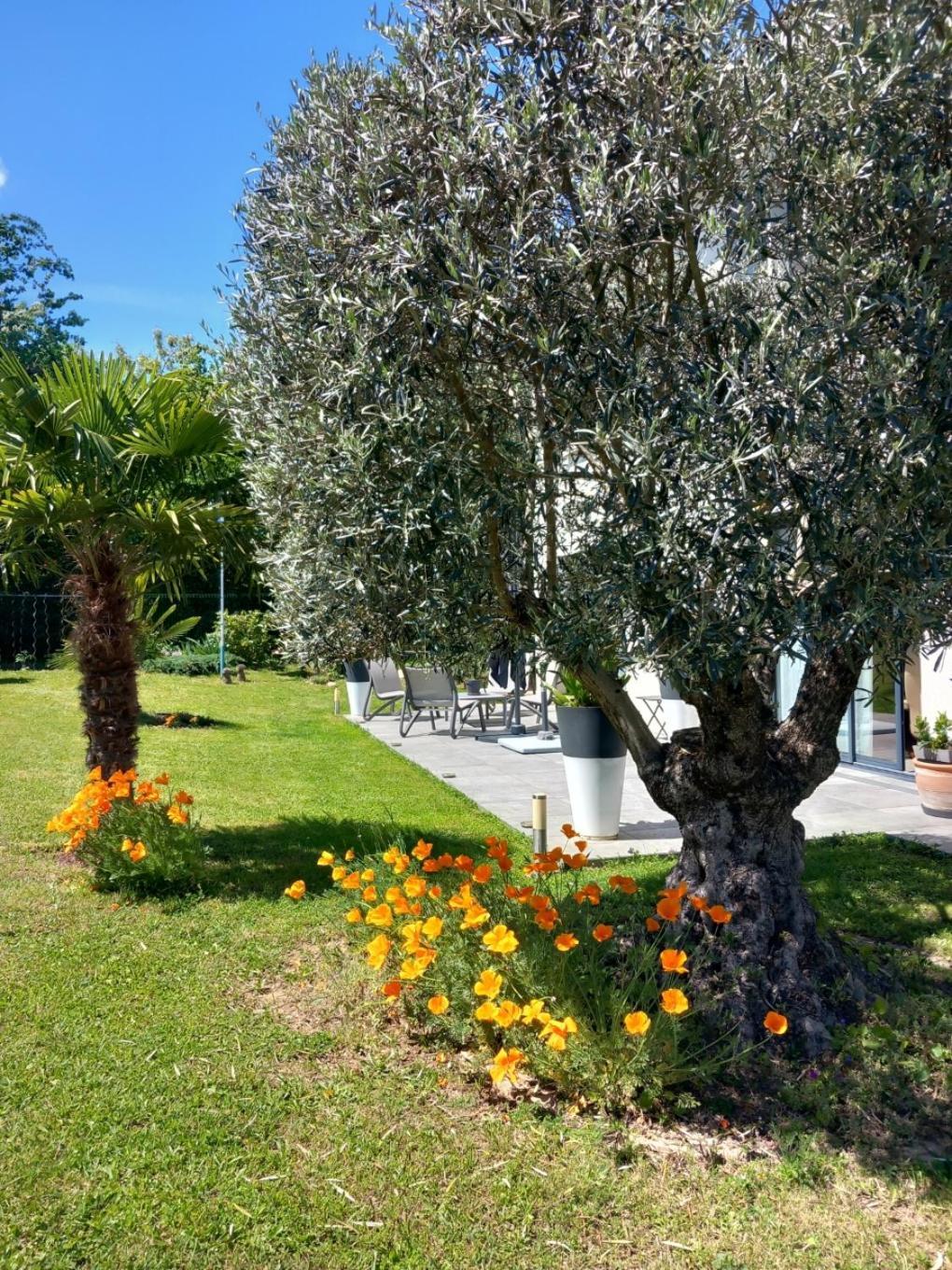 L'Olivier Apartment Mornant Bagian luar foto