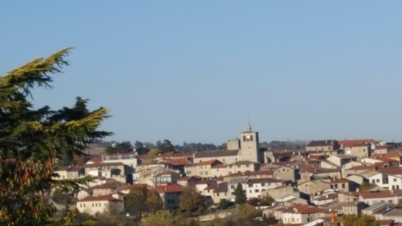 L'Olivier Apartment Mornant Bagian luar foto